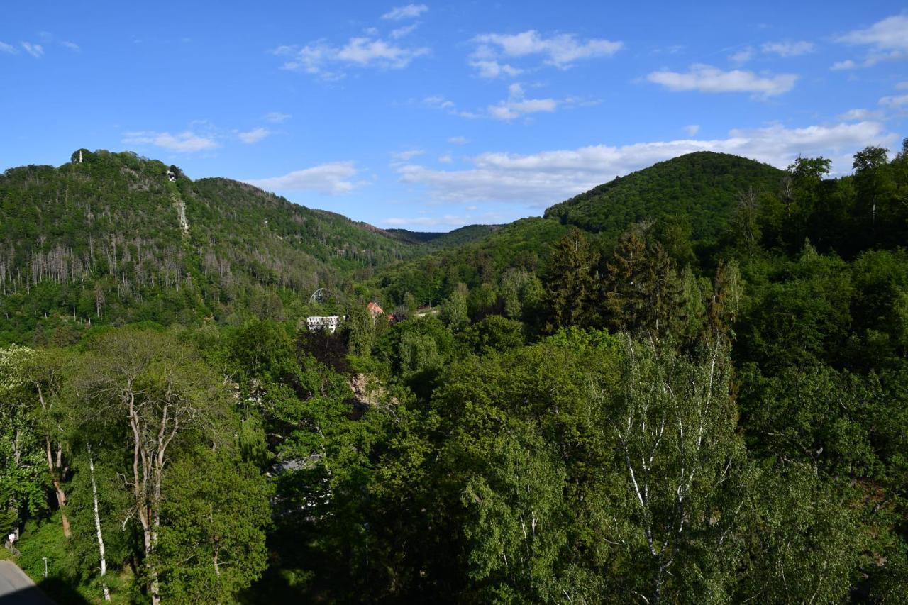 Appartamento Liebelei Bad Harzburg Esterno foto